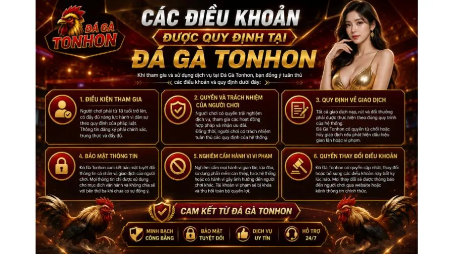 Nội dung các điều khoản được quy định tại Đá Gà Tonhon