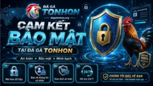 Cam kết bảo mật tại Đá Gà Tonhon giúp người chơi luôn an tâm khi trải nghiệm