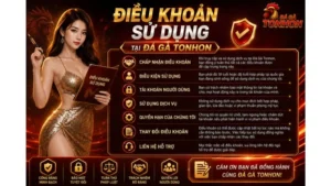2 mục đích xây dựng điều khoản sử dụng tại Đá Gà Tonhon