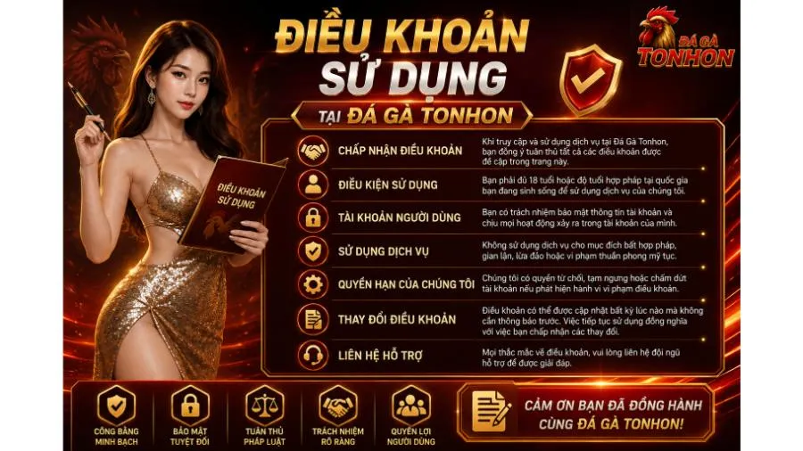 2 mục đích xây dựng điều khoản sử dụng tại Đá Gà Tonhon