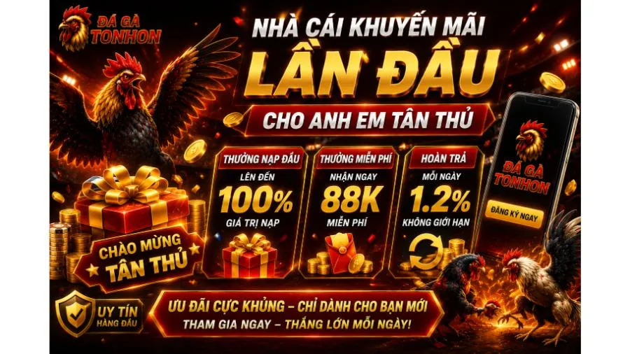 Khuyến Mãi Đá Gà Tonhon - Điểm Danh Các Ưu Đãi Cực Khủng 2026 Nhà cái khuyến mãi lần đầu cho anh em tân thủ