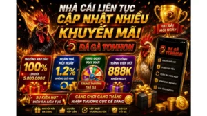 Nhà cái liên tục cập nhật nhiều khuyến mãi Đá Gà Tonhon