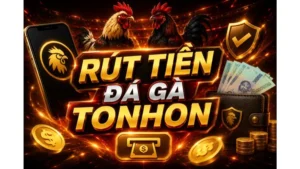 Rút tiền Đá gà Tonhon