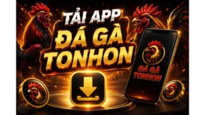Tải APP Đá Gà Tonhon