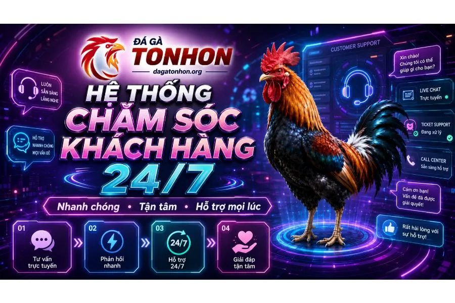 Đá Gà Tonhon 🎖️ Trang Chủ Nhà Cái Đá Gà Uy Tín 2026 Chăm sóc khách hàng tại Đá Gà Tonhon luôn được hội viên đánh giá cao