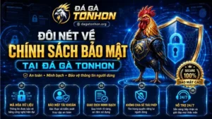 Đôi nét về chính sách bảo mật tại Đá Gà Tonhon