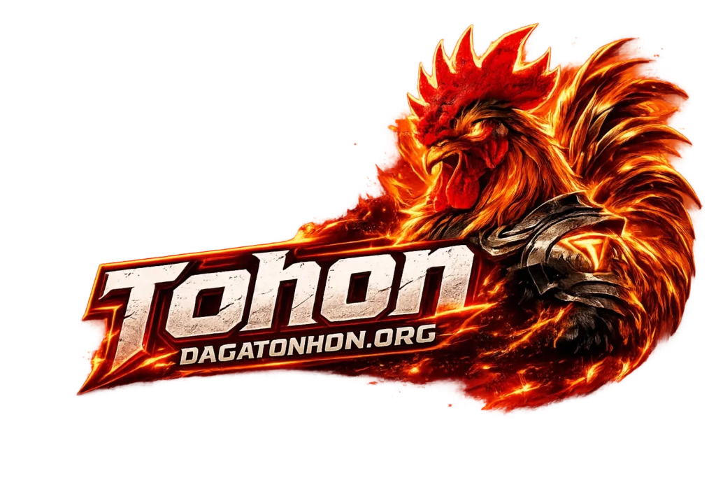 Đá gà TonHon