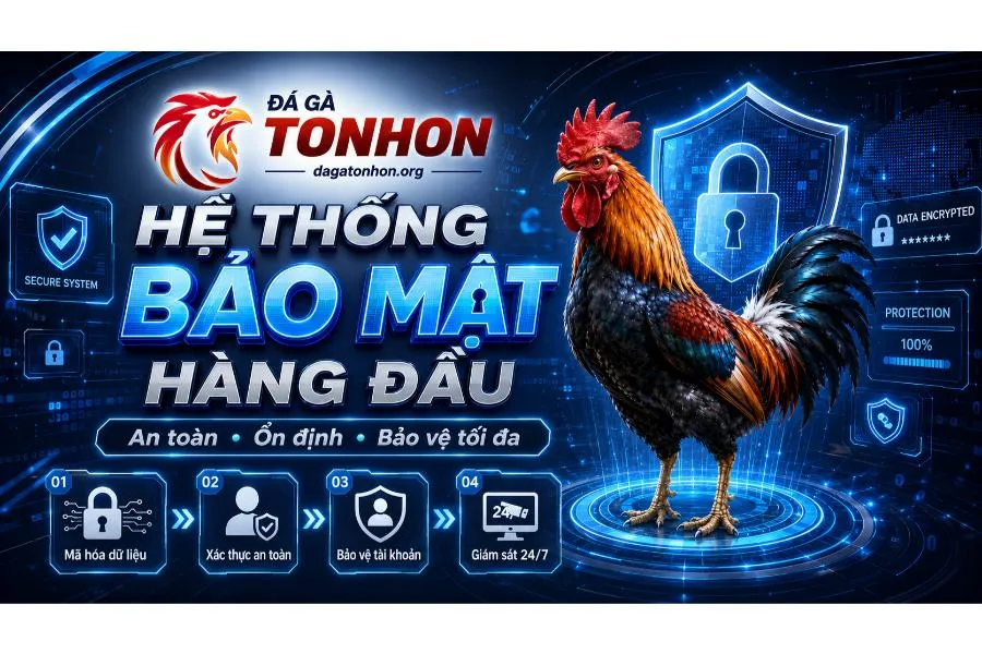 Đá Gà Tonhon 🎖️ Trang Chủ Nhà Cái Đá Gà Uy Tín 2026 Bảo mật tại nền tảng vô cùng kiên cố, giúp bạn an tâm trải nghiệm