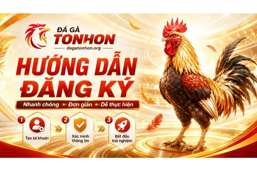 Đá Gà Tonhon 🎖️ Trang Chủ Nhà Cái Đá Gà Uy Tín 2026 Hướng dẫn người chơi mới cách đăng ký tài khoản tại Đá Gà Tonhon