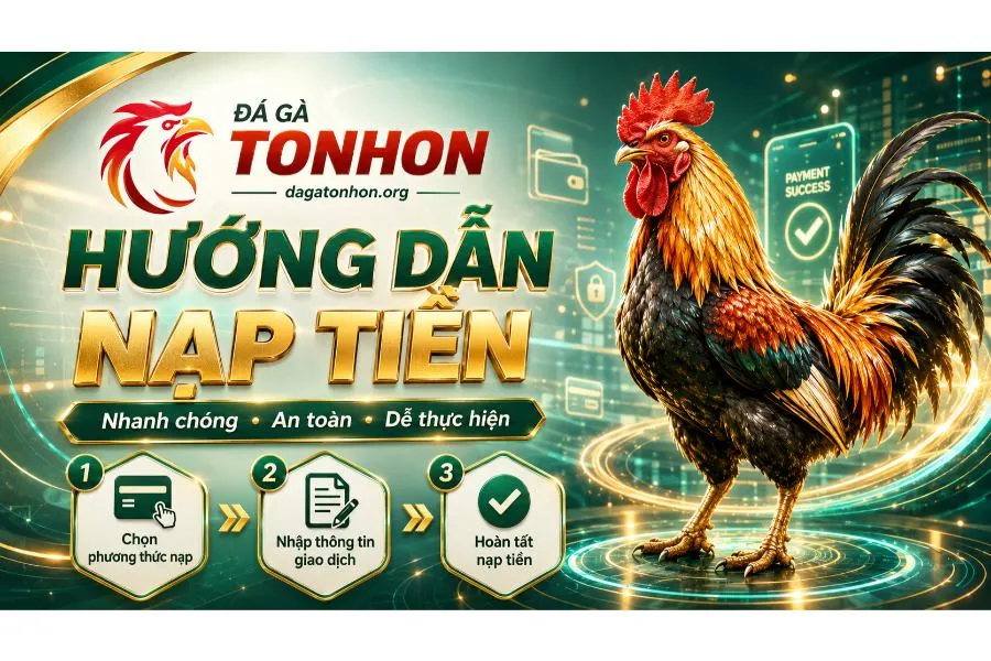 Đá Gà Tonhon 🎖️ Trang Chủ Nhà Cái Đá Gà Uy Tín 2026 Hướng dẫn người chơi mới cách nạp tiền vô cùng nhanh chóng