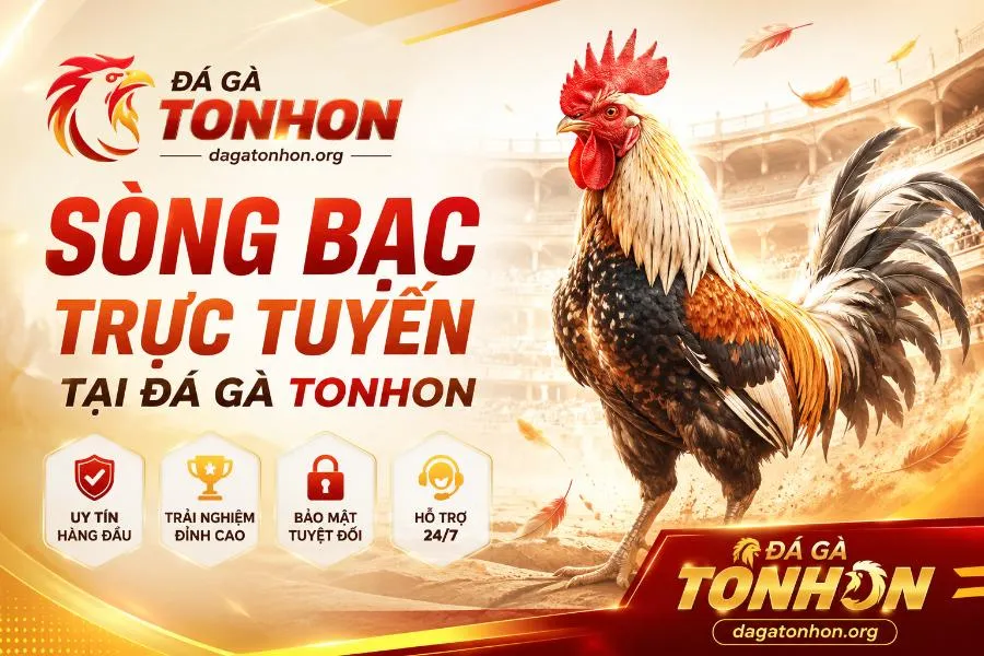 Đá Gà Tonhon 🎖️ Trang Chủ Nhà Cái Đá Gà Uy Tín 2026 Sòng bạc trực tuyến Đá Gà Tonhon mang đến cơ hội giải trí không giới hạn cho hội viên
